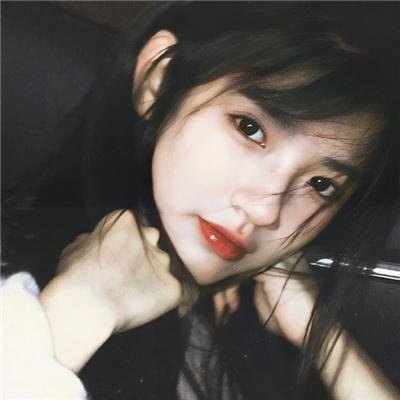 万物生灵第四季